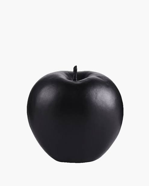 Beautiful black apple without leaf